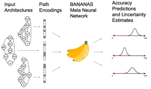 BANANAS Charts